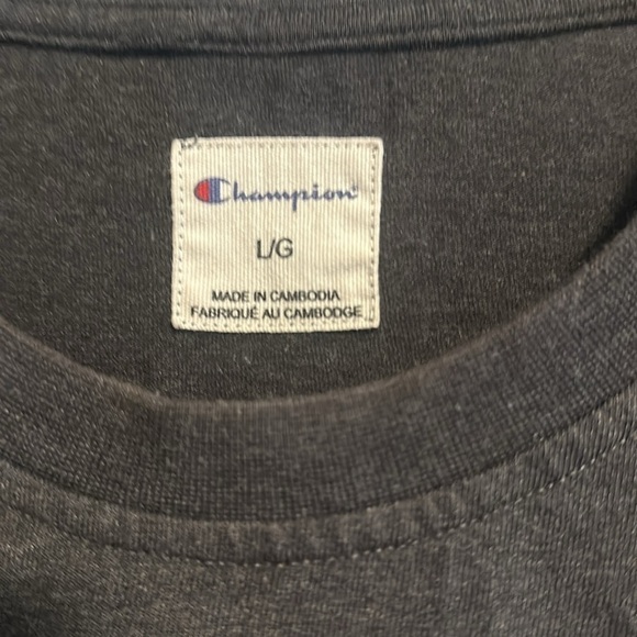 EUC: champion heavyweight, dark, gray T-shirt, men size L - Picture 3 of 5